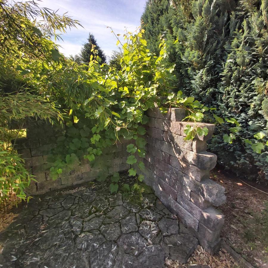 Apartment In Upper Floor In Nature Reserve. Hipstedt エクステリア 写真